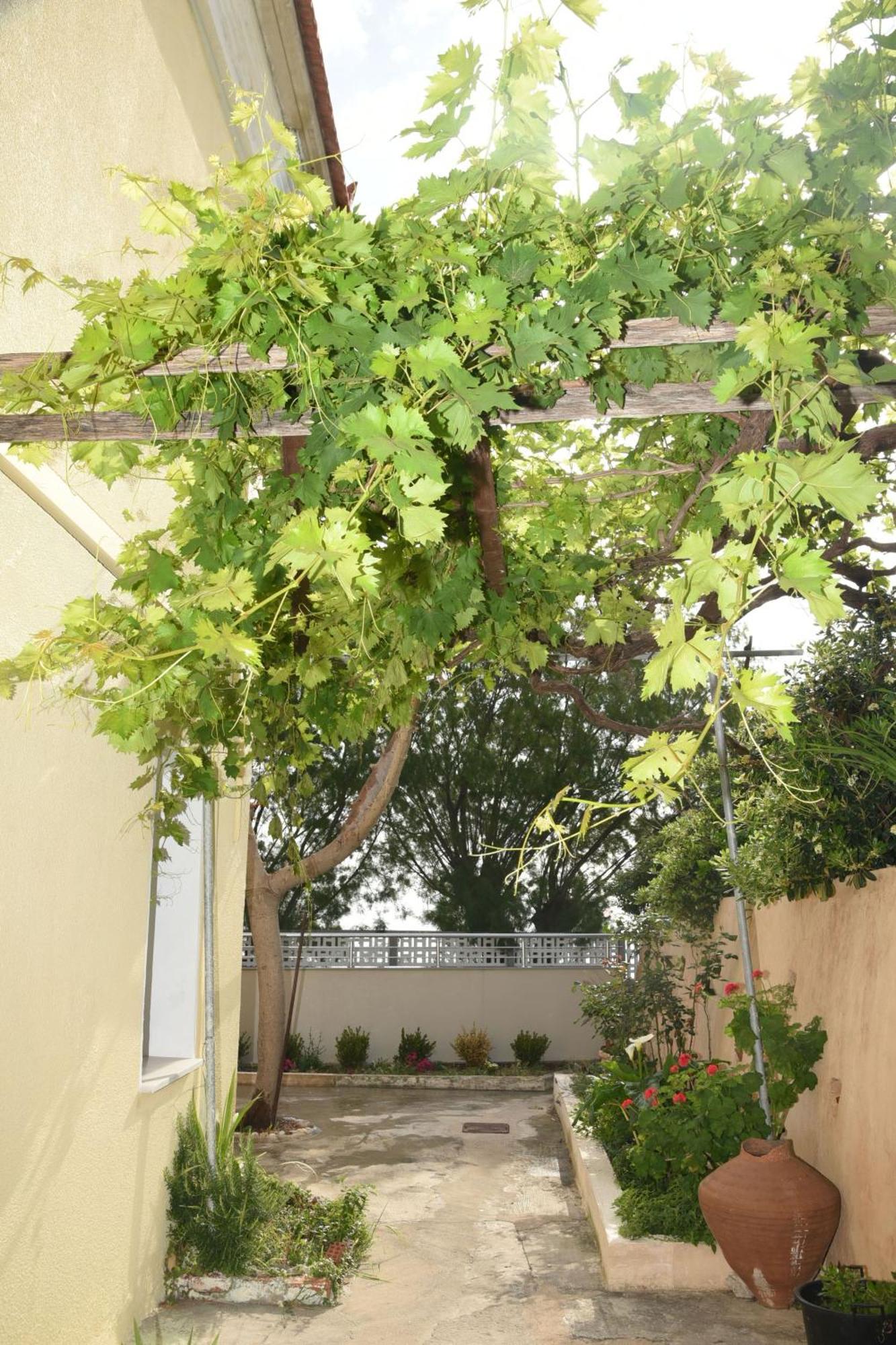 Blue Flag Award Winning Ormos Lo Beach: Home 1 Vrontados Exterior photo