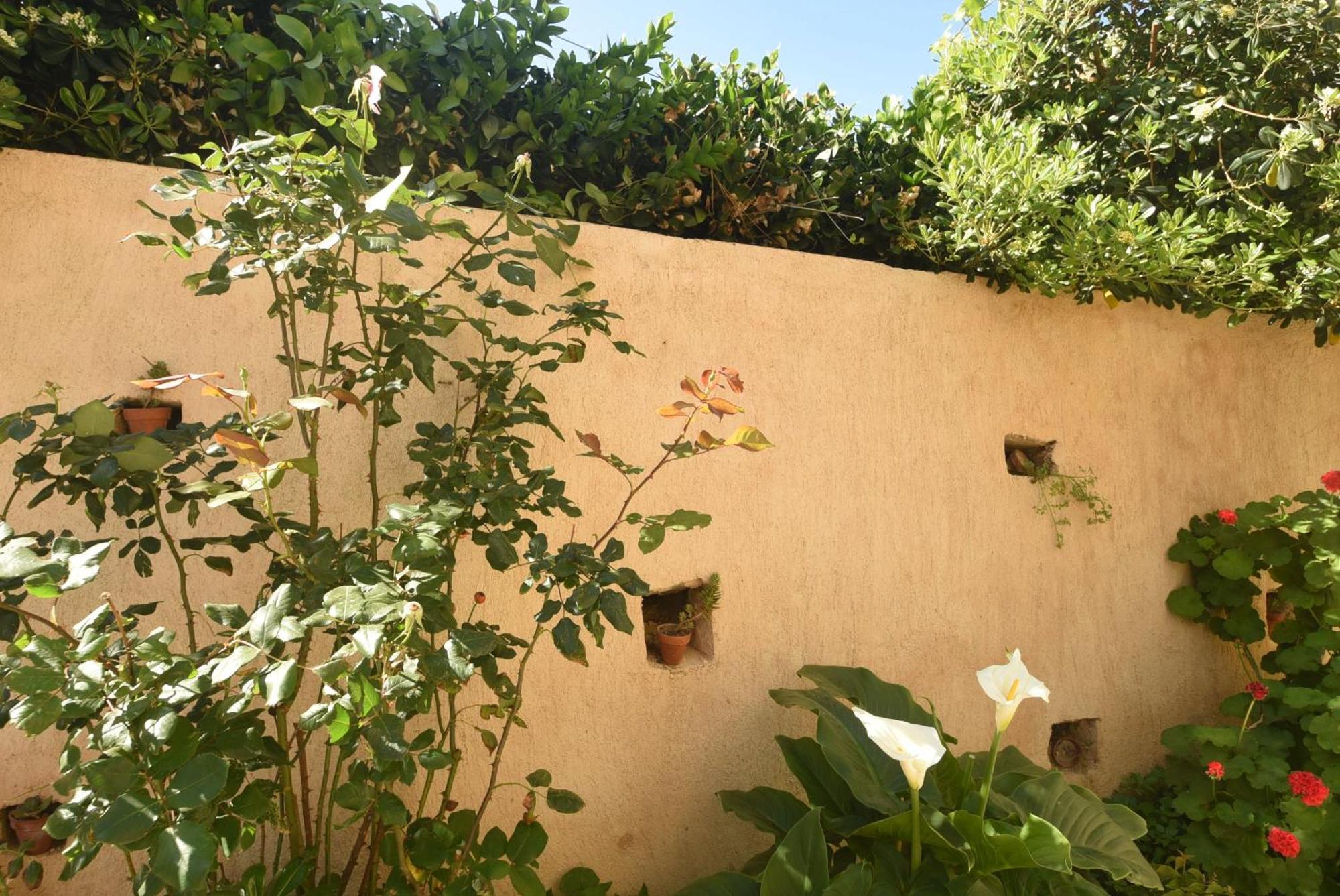 Blue Flag Award Winning Ormos Lo Beach: Home 1 Vrontados Exterior photo